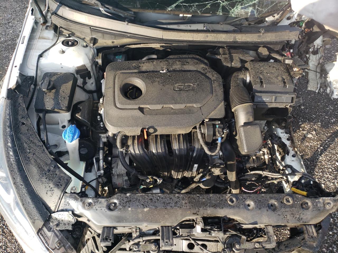 5NPE24AF6JH668948 2018 Hyundai Sonata Se