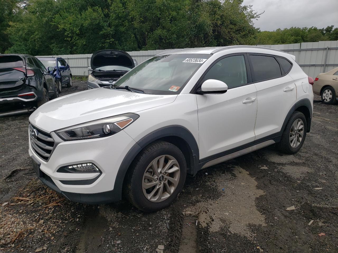 2017 Hyundai Tucson Limited VIN: KM8J3CA47HU566168 Lot: 68523634