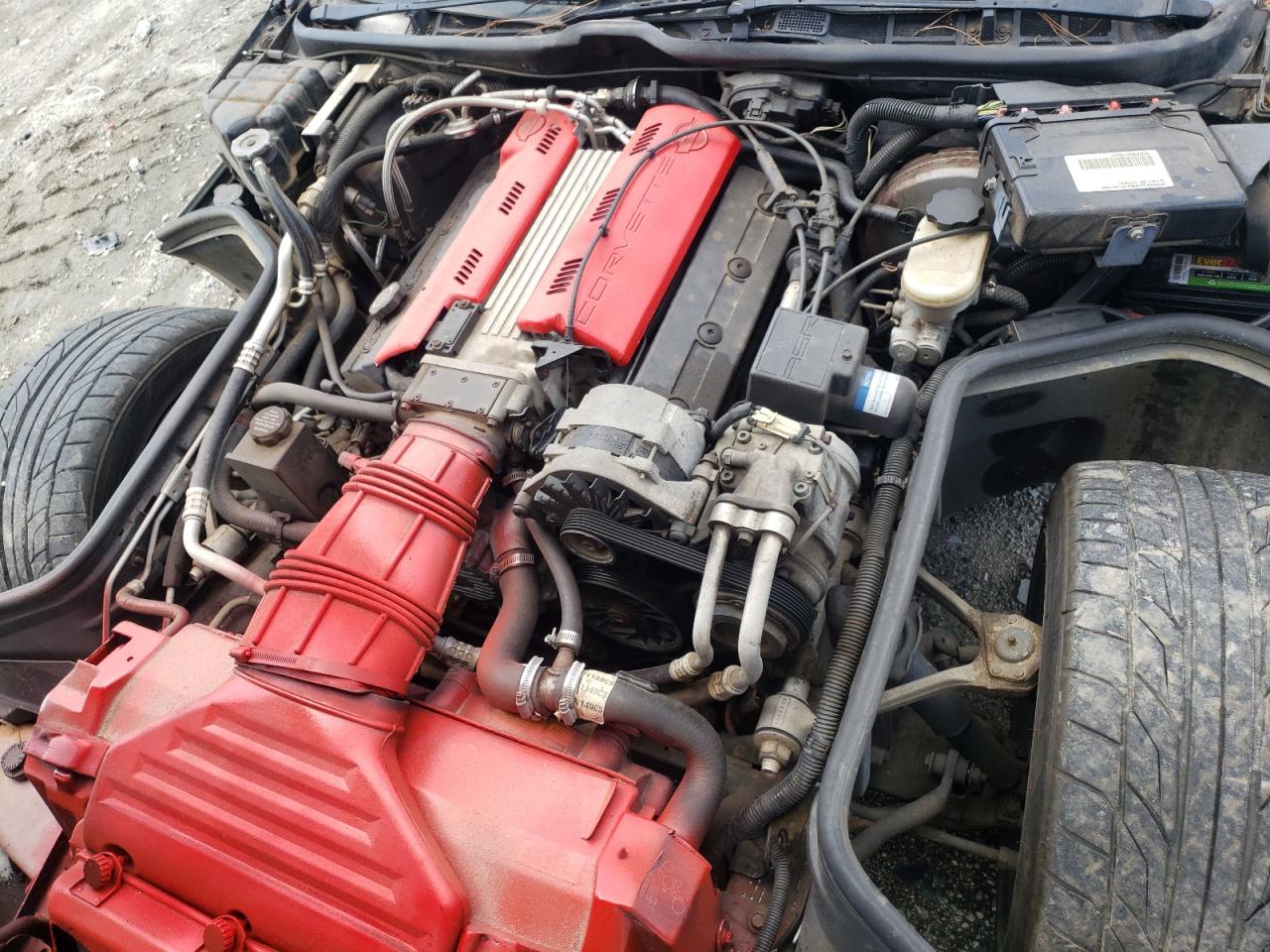 1993 Chevrolet Corvette VIN: 1G1YY23P6P5103686 Lot: 66948204