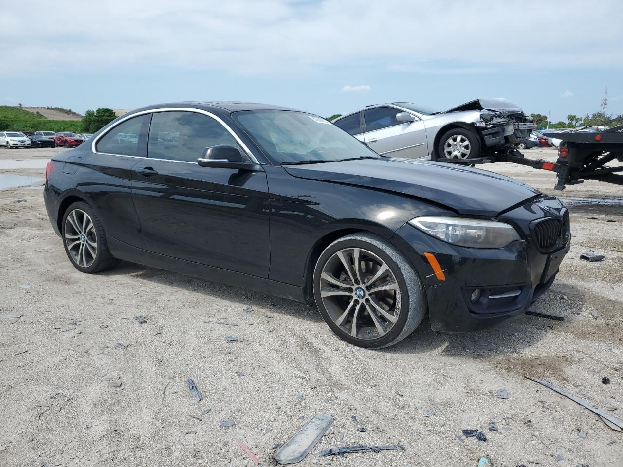 2017 BMW 230I VIN: WBA2F9C38HV983846 Lot: 66369934