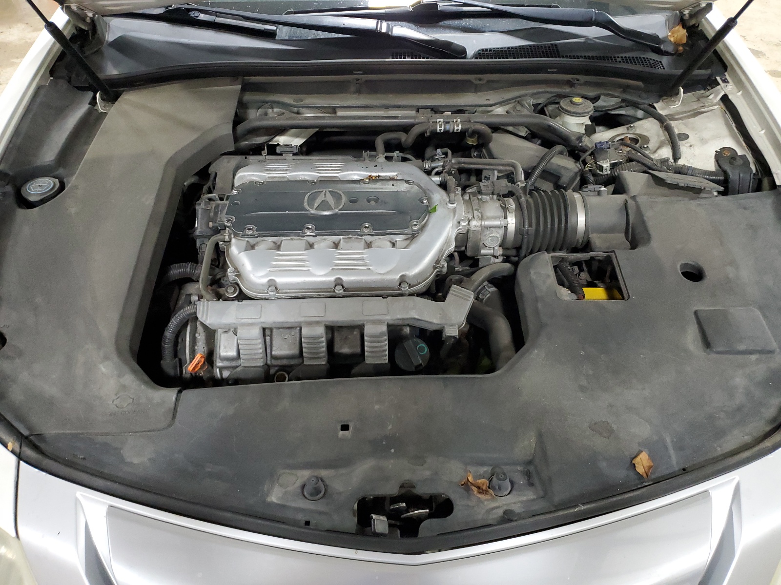 19UUA9F51AA007249 2010 Acura Tl