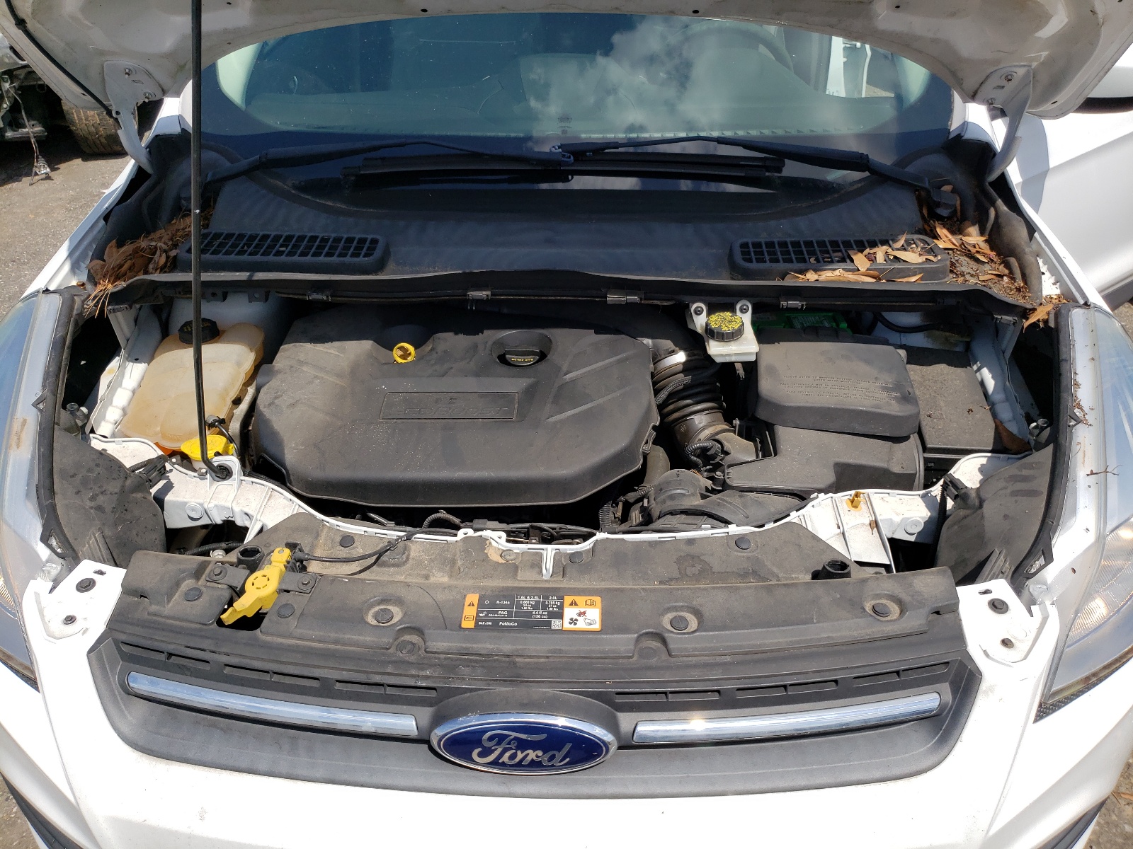 1FMCU0G95EUC98093 2014 Ford Escape Se