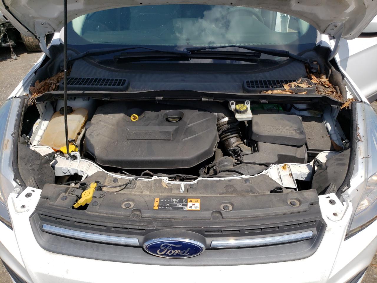 2014 Ford Escape Se VIN: 1FMCU0G95EUC98093 Lot: 65777694