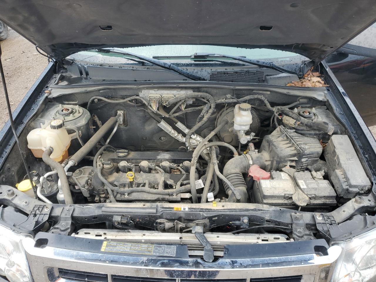 2010 Ford Escape Xlt VIN: 1FMCU9D73AKA87682 Lot: 65713254