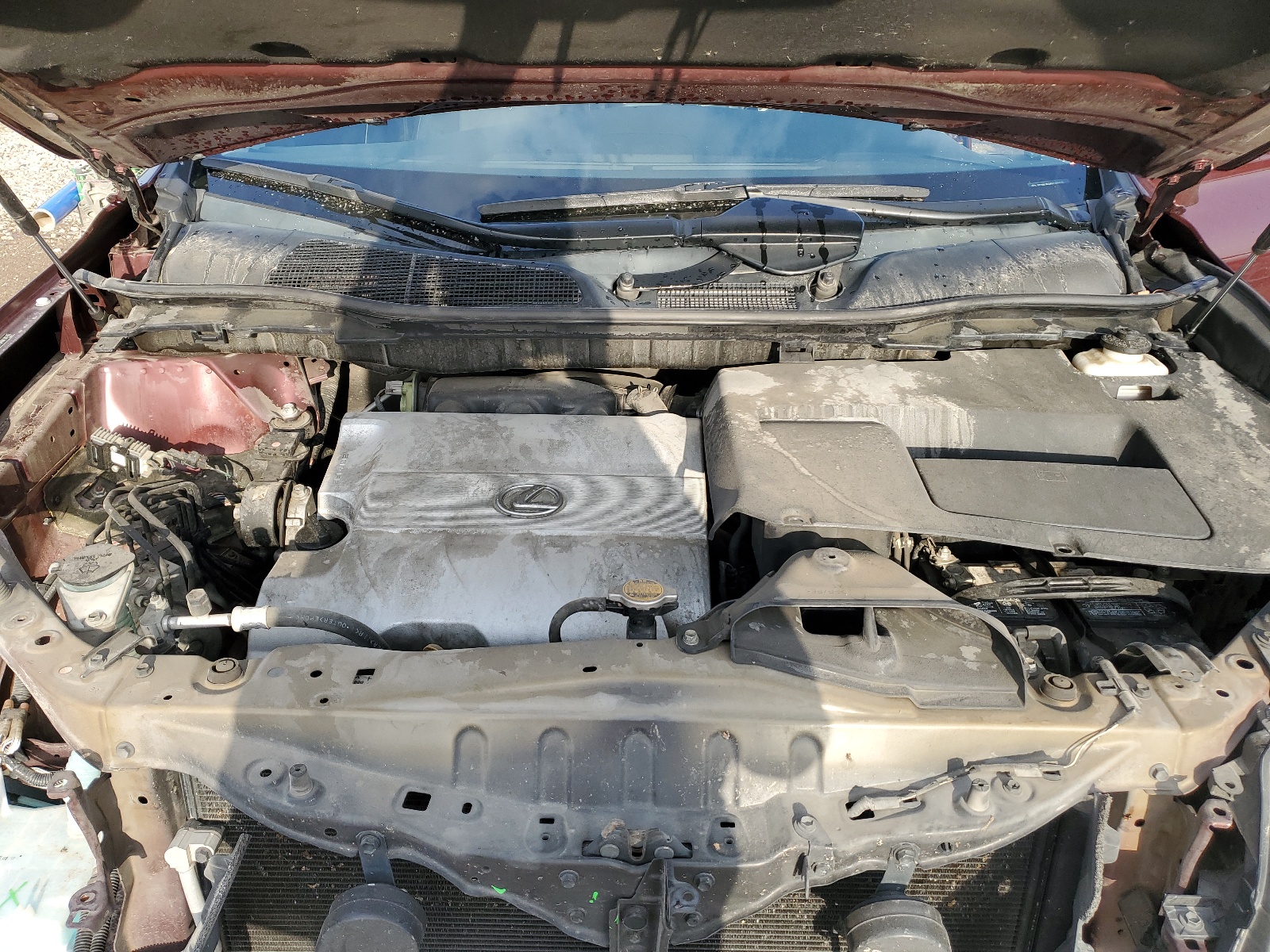 2T2BK1BAXDC188435 2013 Lexus Rx 350 Base