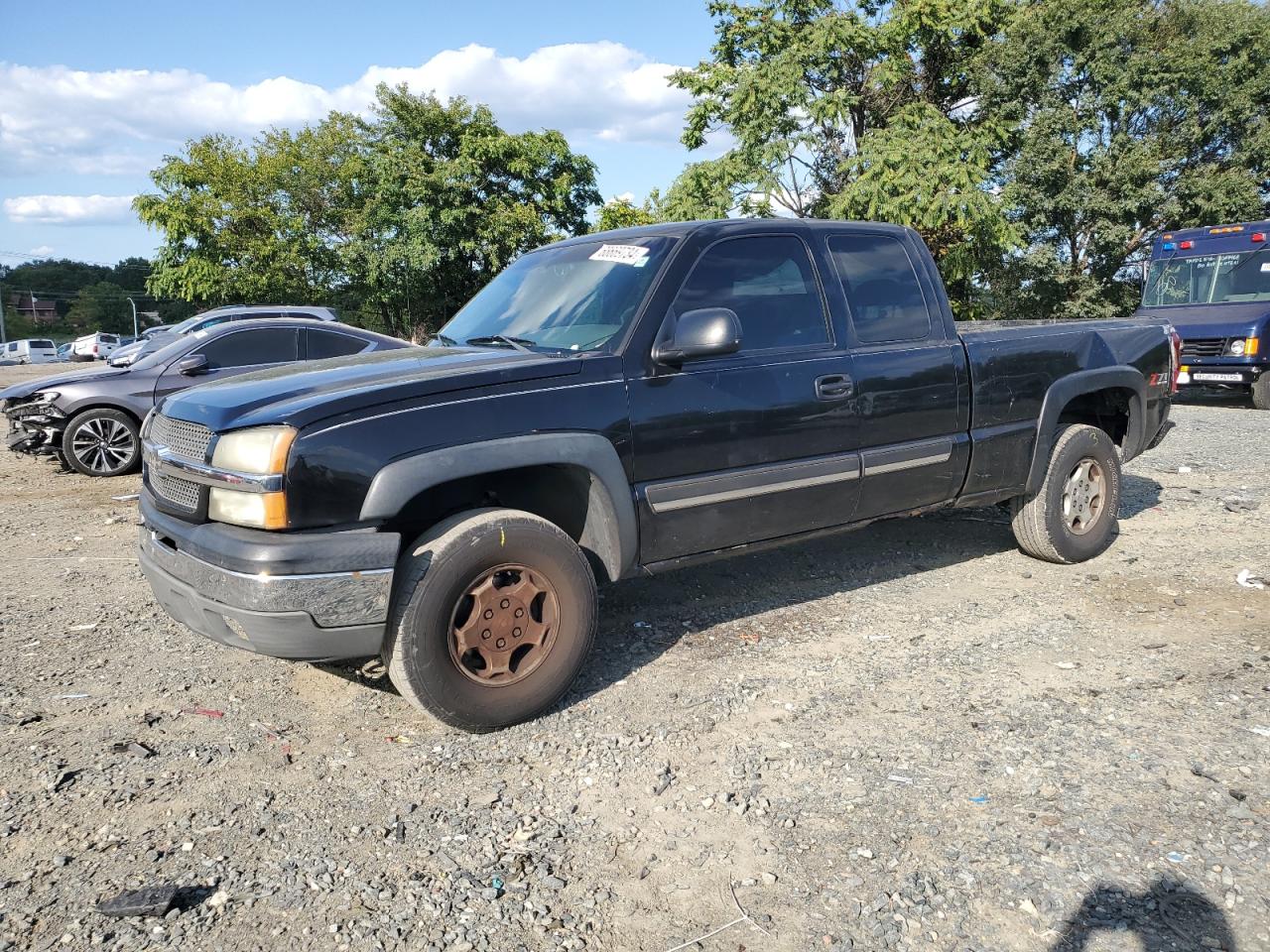 2004 Chevrolet Silverado K1500 VIN: 1GCEK19T04E386592 Lot: 68669734