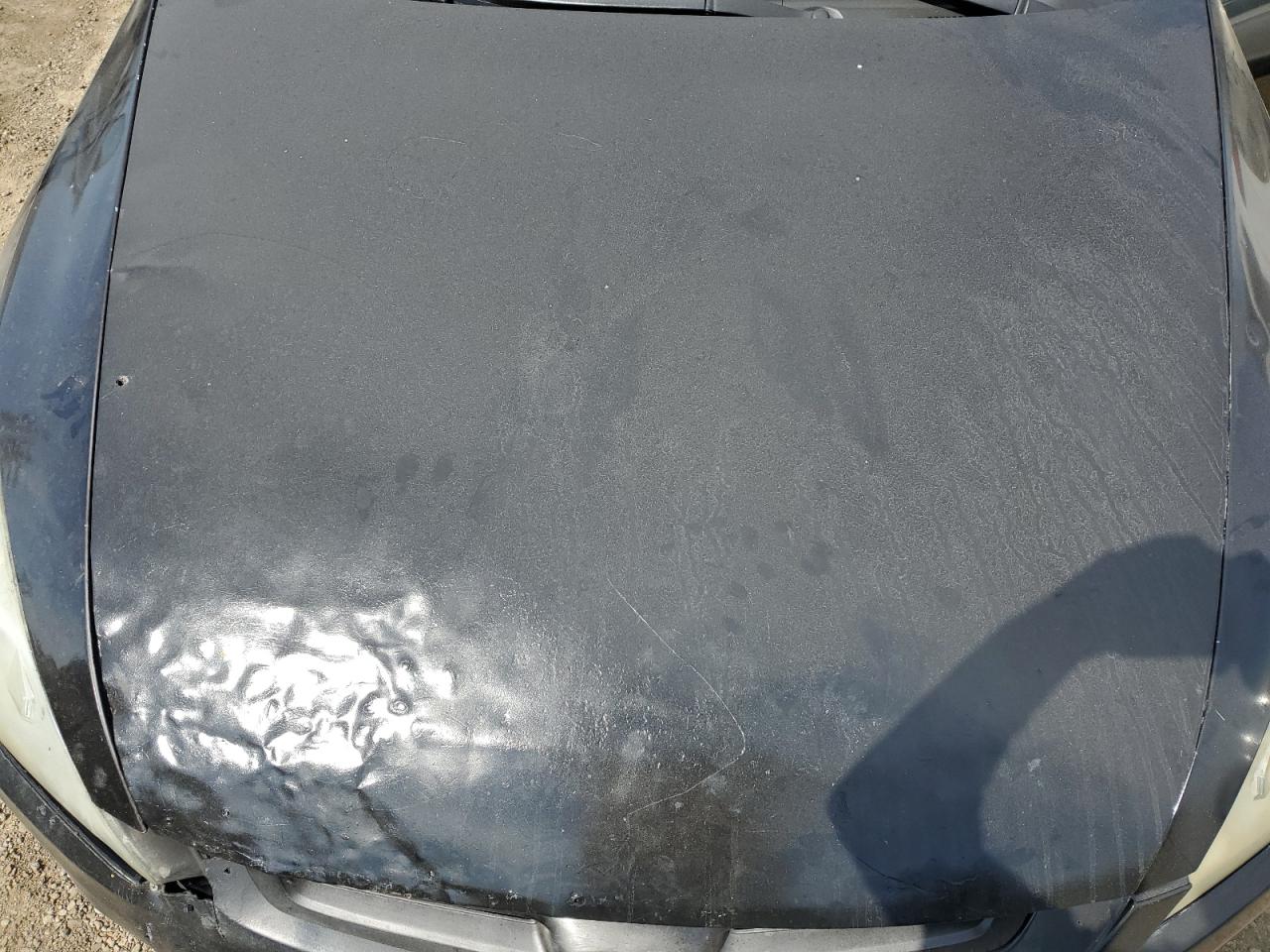 2005 Honda Accord Lx VIN: JHMCM56495C004349 Lot: 65564284