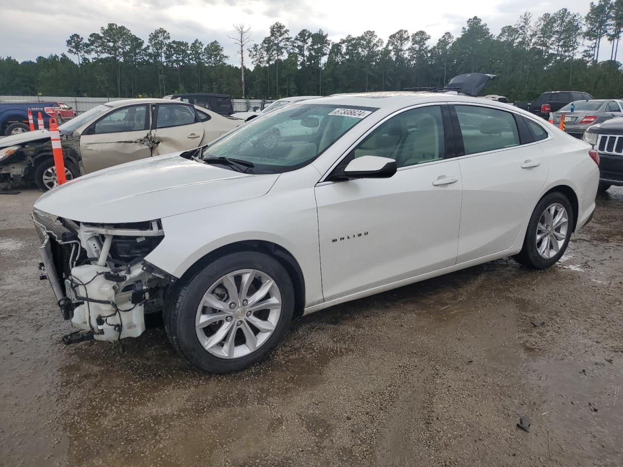 1G1ZD5ST7KF192896 2019 CHEVROLET MALIBU - Image 1