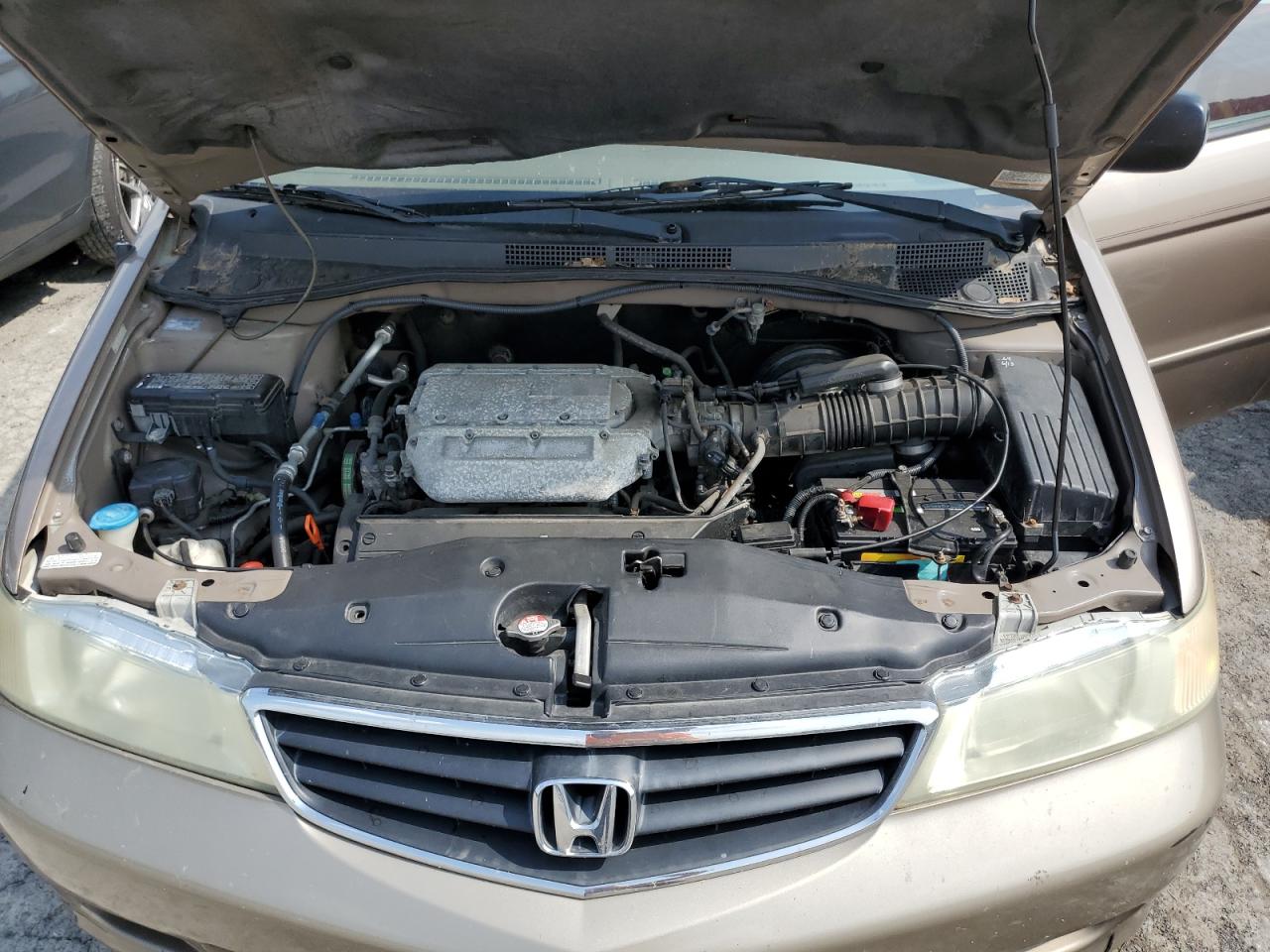 5FNRL18584B044792 2004 Honda Odyssey Lx