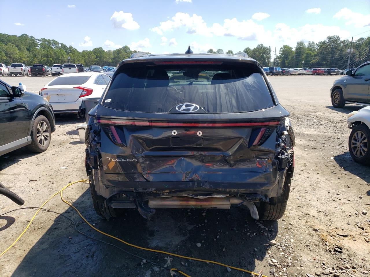 2023 Hyundai Tucson Sel VIN: 5NMJBCAE4PH281711 Lot: 67764524