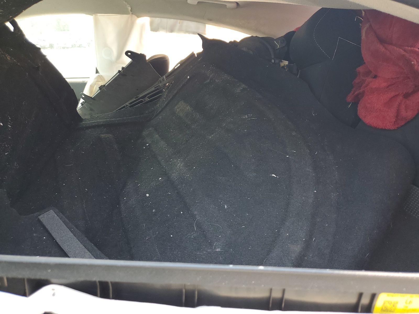 3KPF24AD7ME278856 2021 Kia Forte Fe