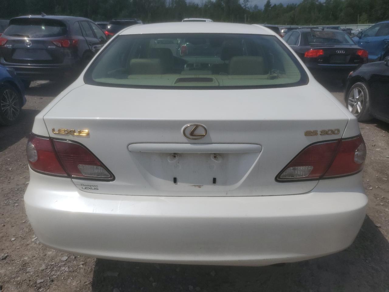 2002 Lexus Es 300 VIN: JTHBF30G420022087 Lot: 66349634