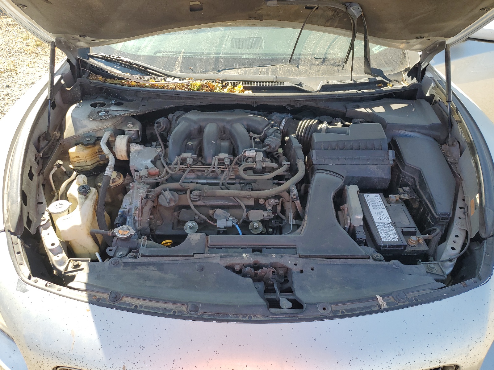 1N4AA5AP0AC855880 2010 Nissan Maxima S