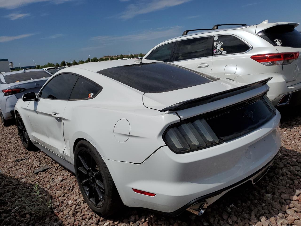 1FA6P8AM2F5415537 2015 FORD MUSTANG - Image 2