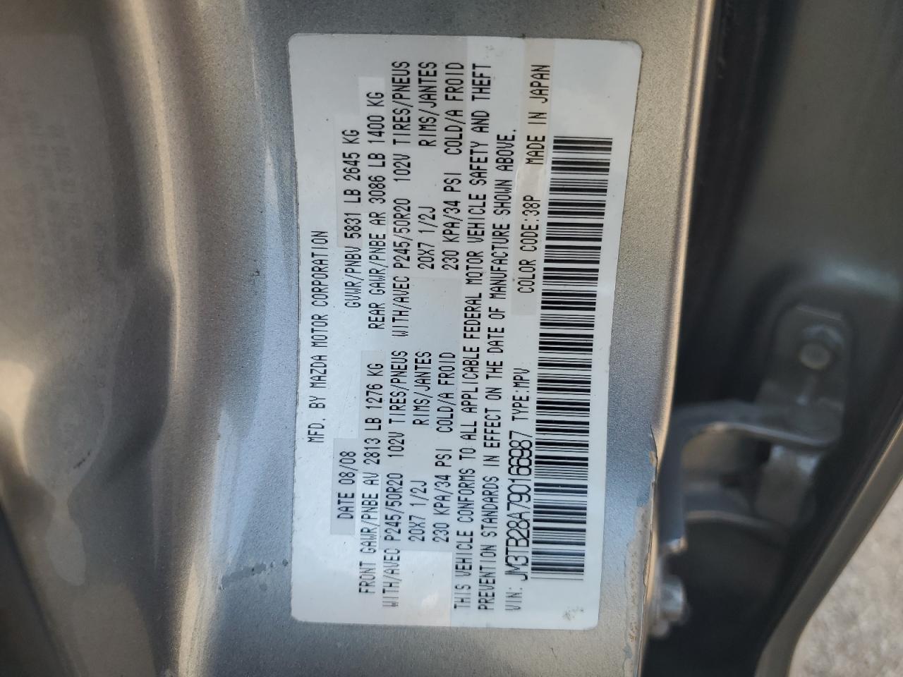 2009 Mazda Cx-9 VIN: JM3TB28A790166987 Lot: 67663884