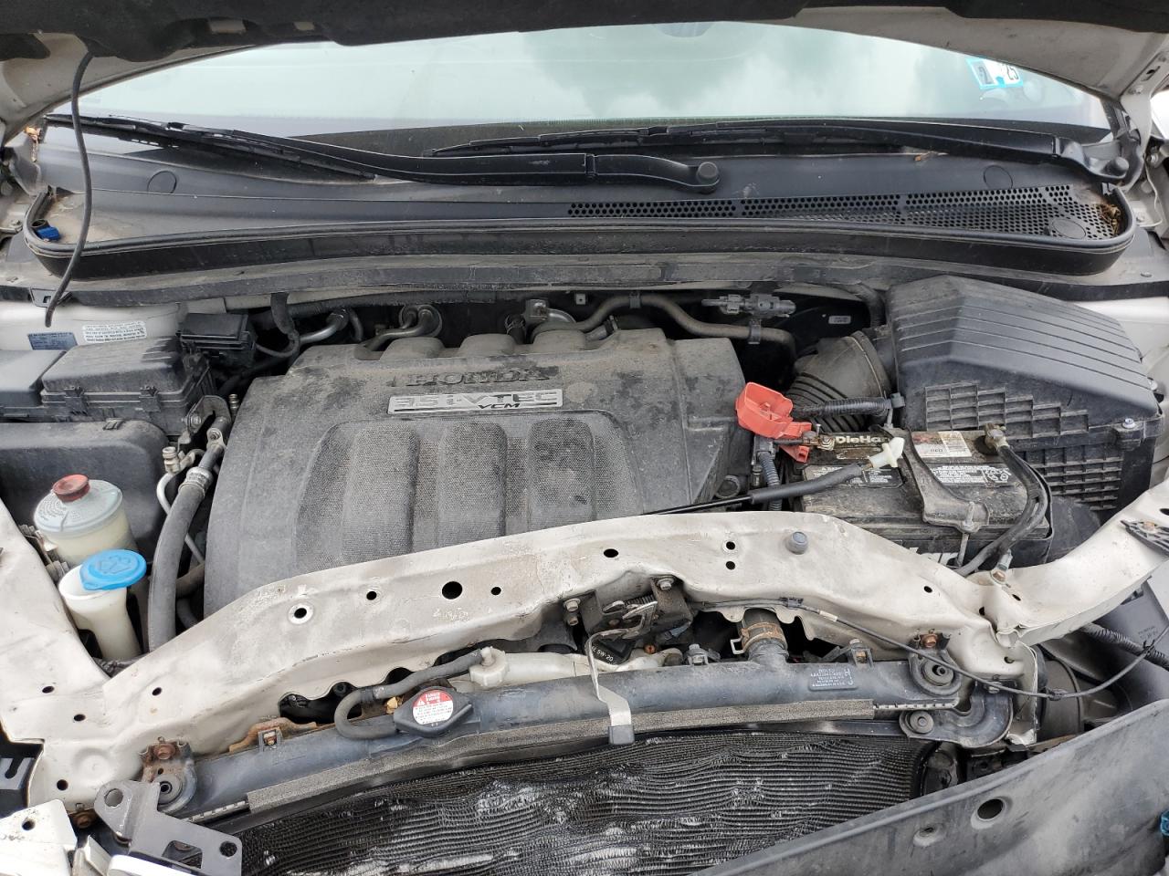 2006 Honda Odyssey Exl VIN: 5FNRL38796B438768 Lot: 63882394