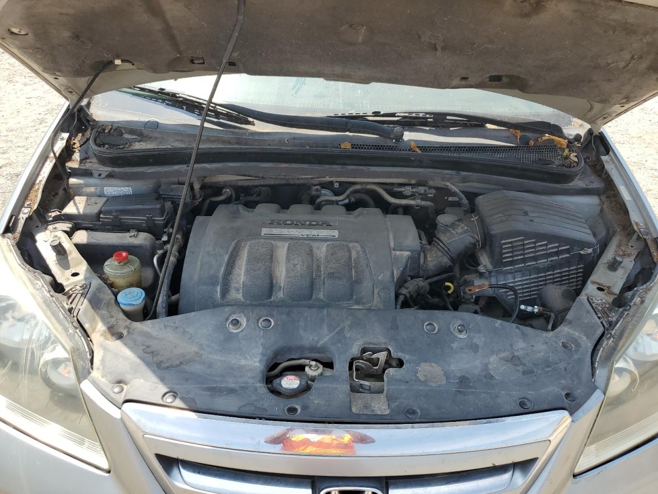 2005 Honda Odyssey Exl VIN: 5FNRL38795B053712 Lot: 66532004