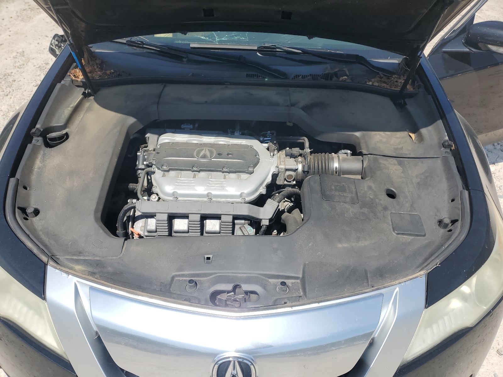 19UUA86239A019382 2009 Acura Tl