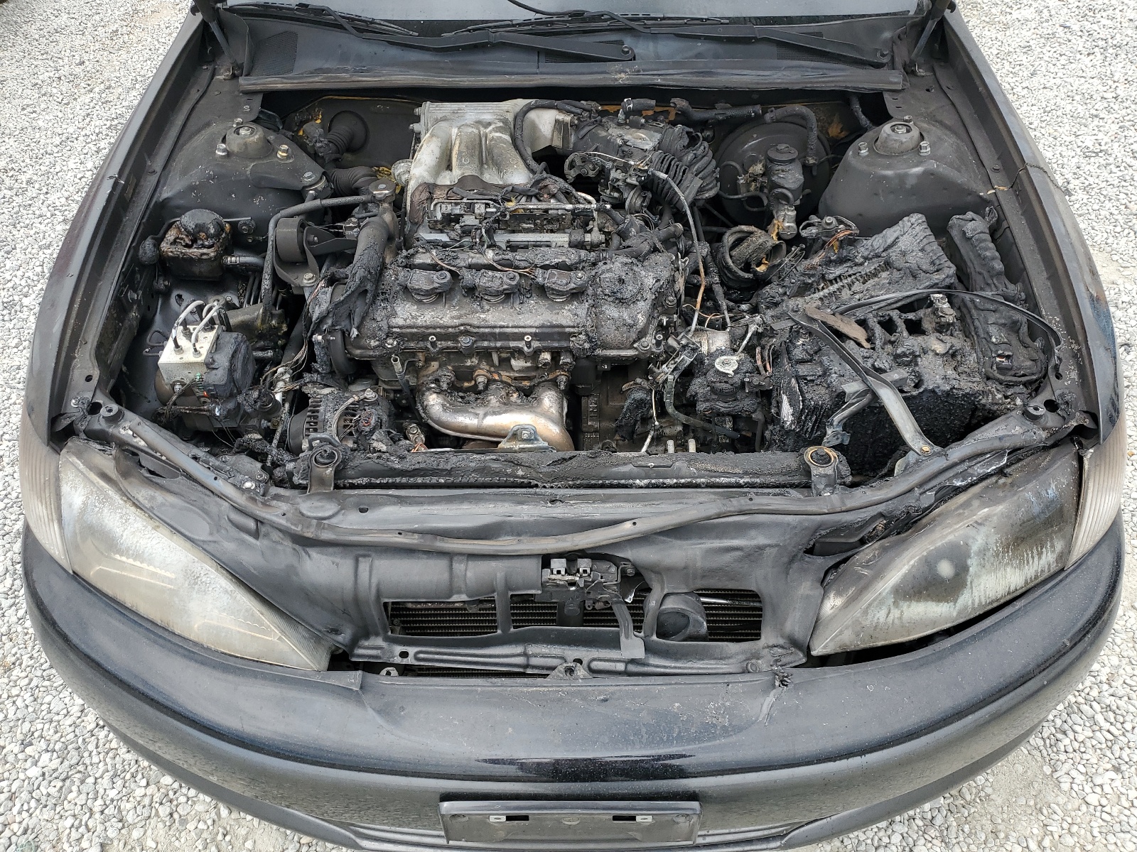 JT8BF28G8Y5084554 2000 Lexus Es 300