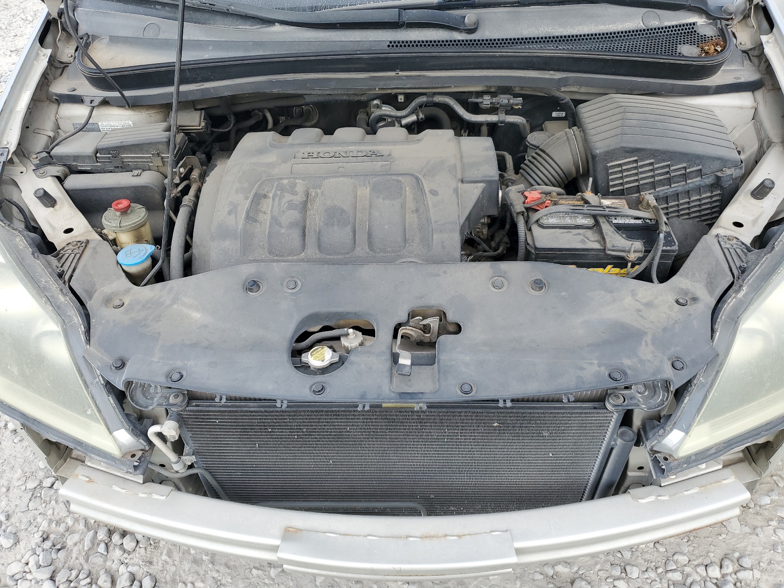 5FNRL38736B039029 2006 Honda Odyssey Exl