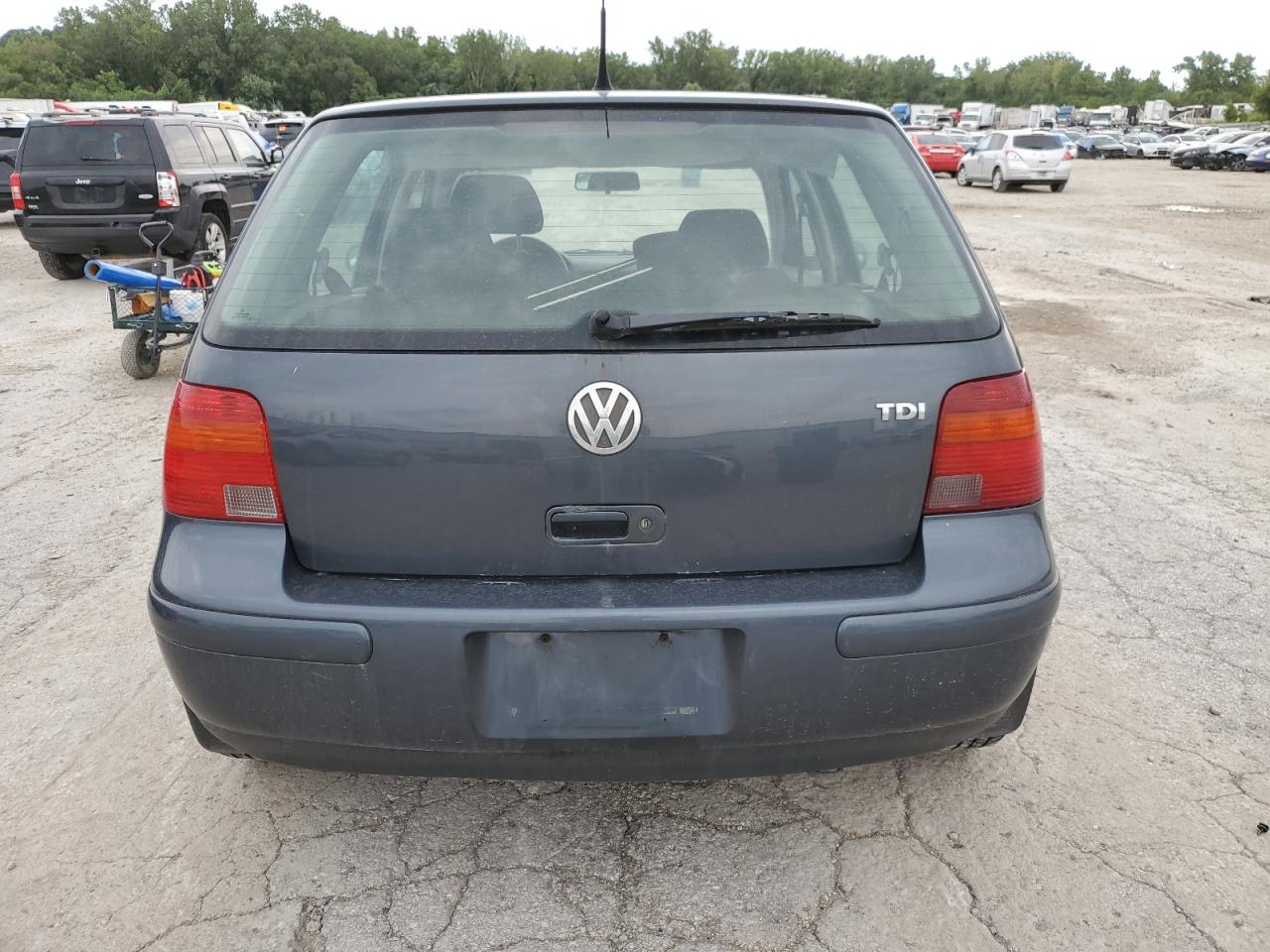 2004 Volkswagen Golf Gls Tdi VIN: 9BWGR61J244027428 Lot: 66384614