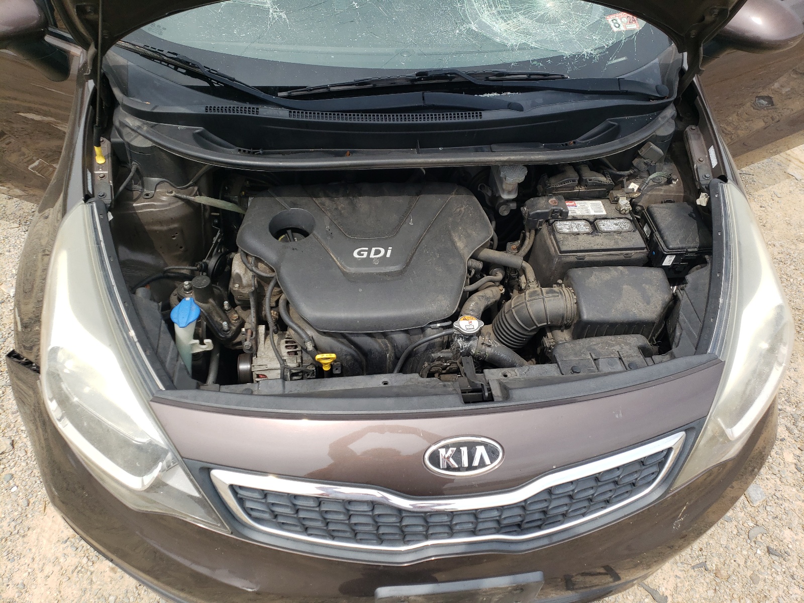 KNADN4A31D6116150 2013 Kia Rio Ex