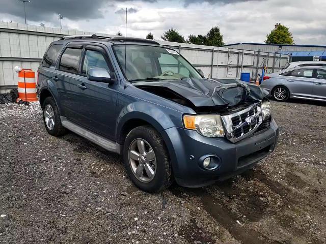2010 Ford Escape Limited VIN: 1FMCU9EG8AKD24407 Lot: 66604694