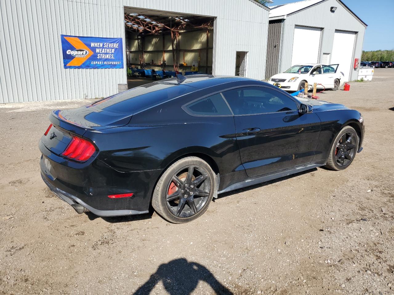 2020 Ford Mustang VIN: 1FA6P8TH4L5140152 Lot: 67320324