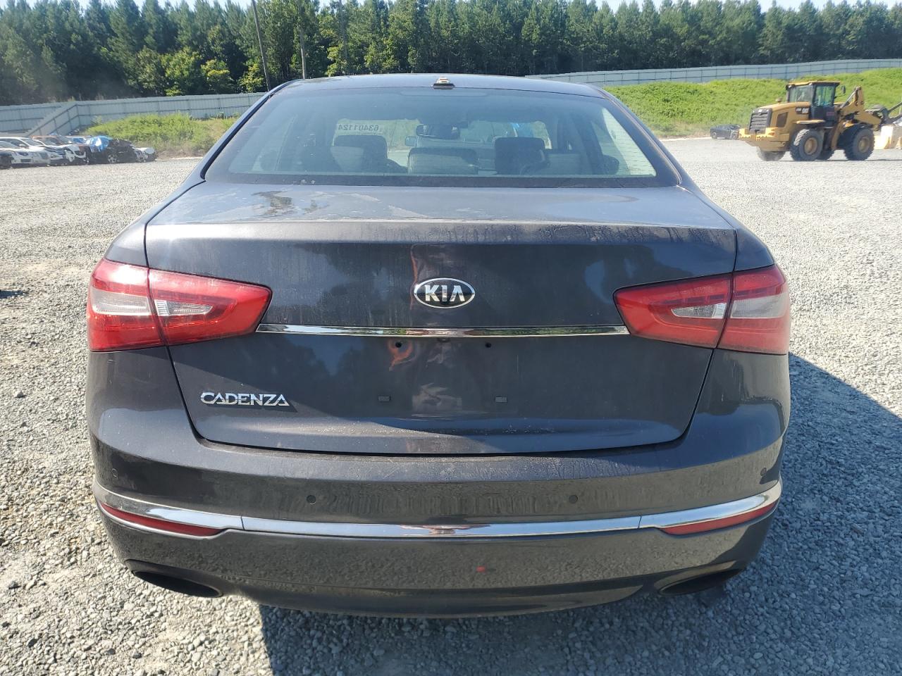 2014 Kia Cadenza Premium VIN: KNALN4D77E5128420 Lot: 63401124