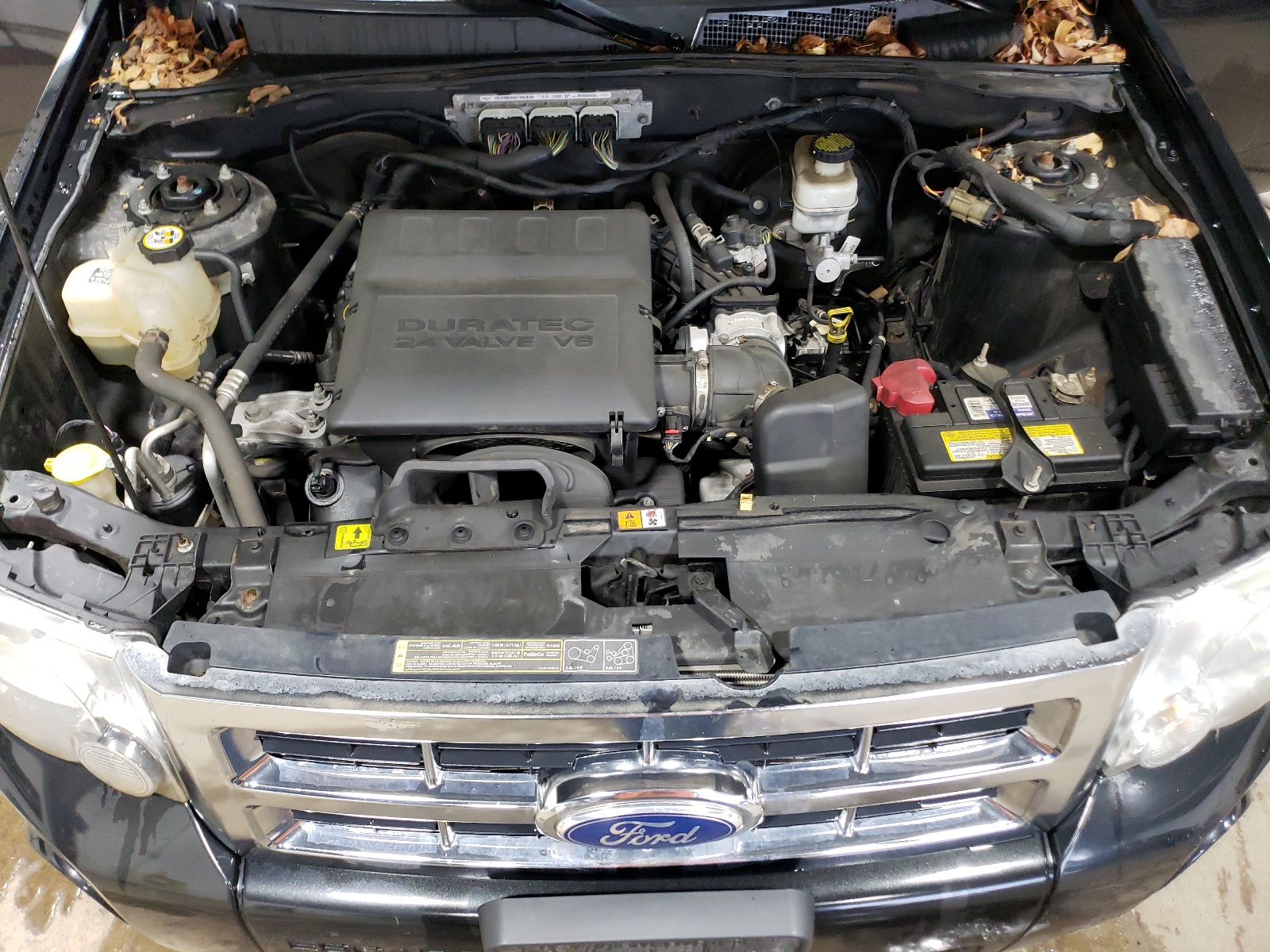 1FMCU0DG4BKB20816 2011 Ford Escape Xlt