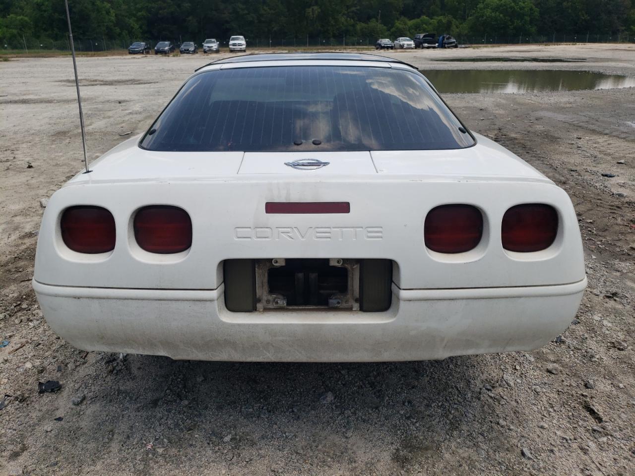 1993 Chevrolet Corvette VIN: 1G1YY23P6P5103686 Lot: 66948204