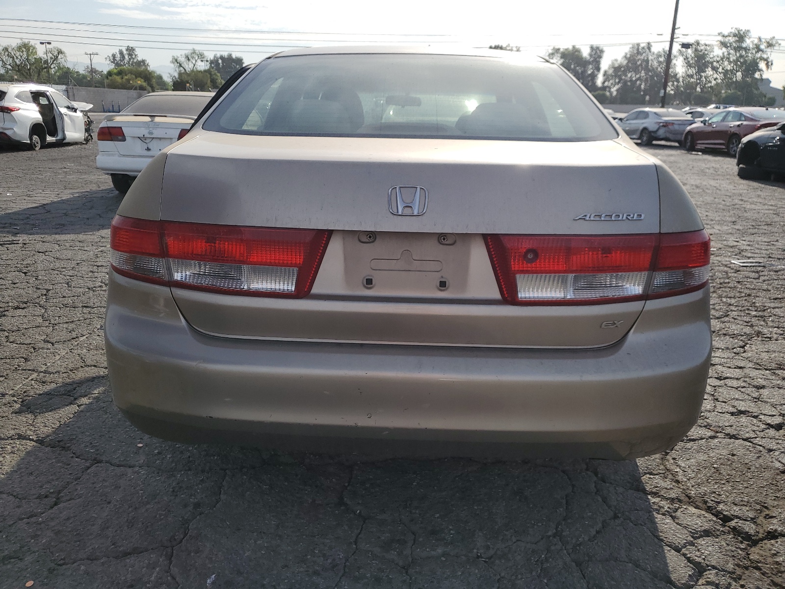 JHMCM56664C040676 2004 Honda Accord Ex