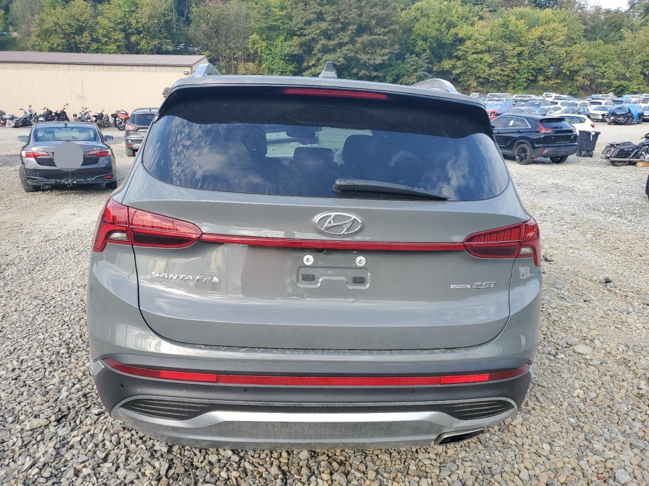 2023 Hyundai Santa Fe Limited VIN: 5NMS4DAL4PH559901 Lot: 69278224