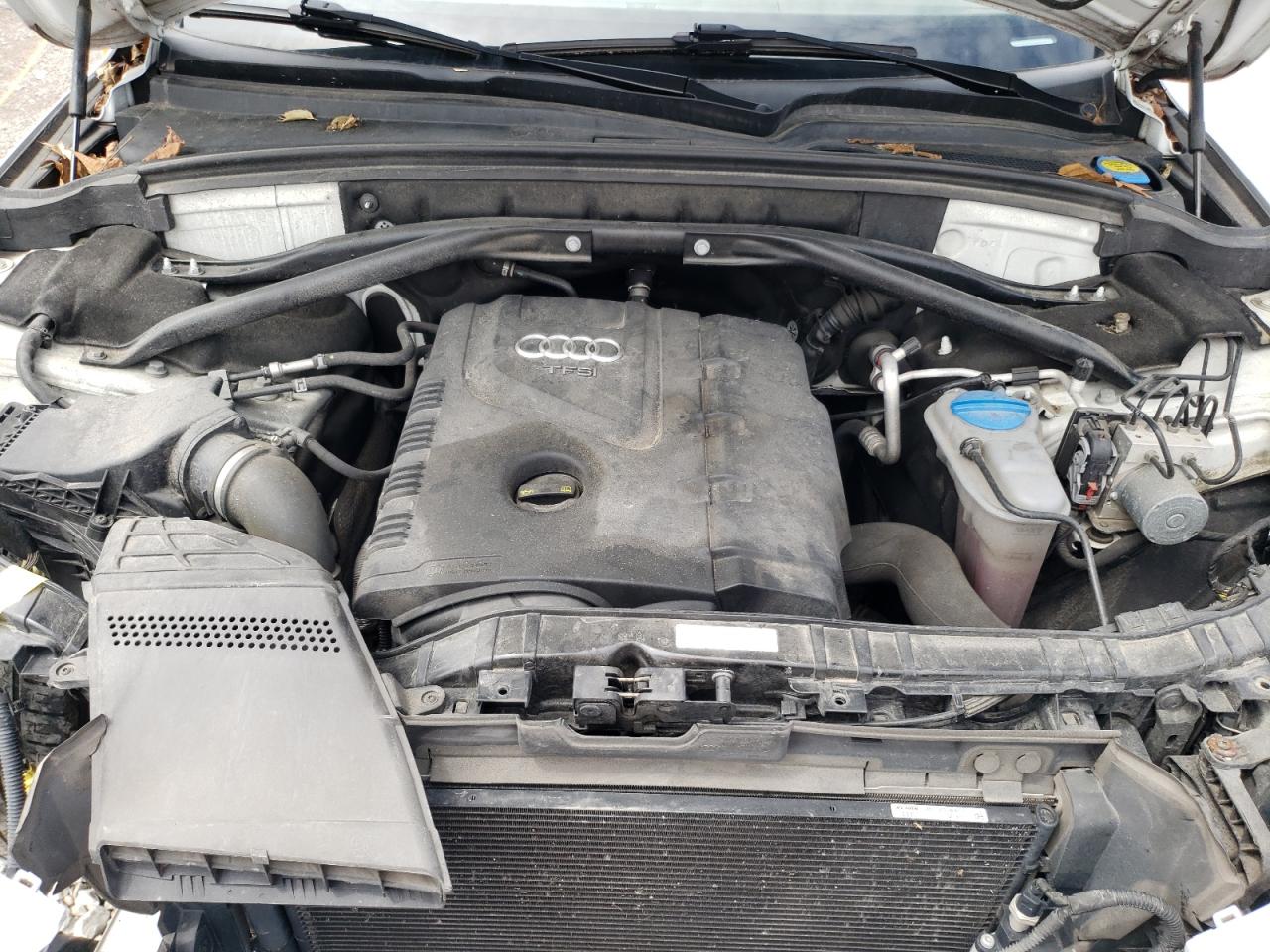 2015 Audi Q5 Premium Plus VIN: WA1LFAFP0FA098837 Lot: 65023114