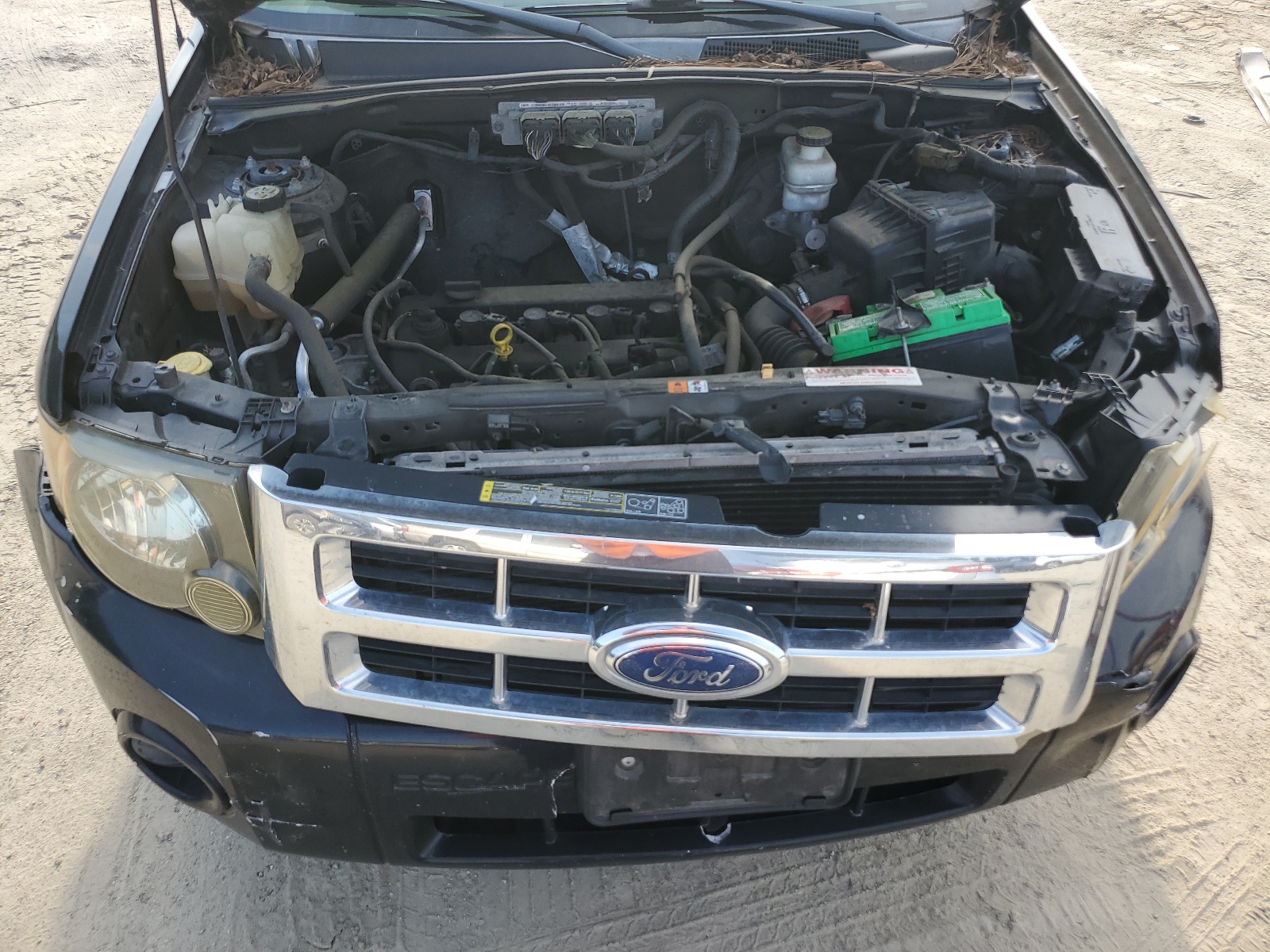 1FMCU02779KB02128 2009 Ford Escape Xls