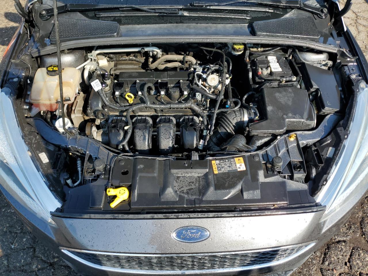 2016 Ford Focus Se VIN: 1FADP3F29GL352547 Lot: 69071524