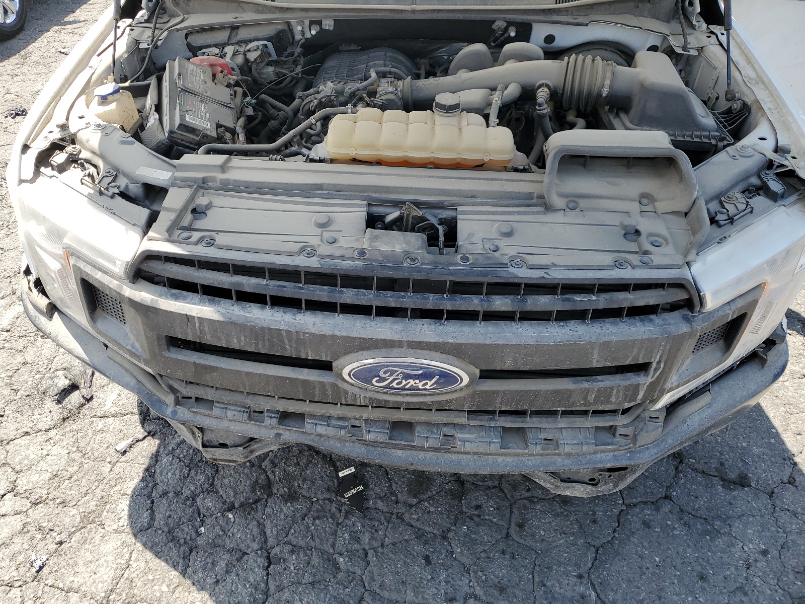 2019 Ford F150 Super Cab vin: 1FTEX1CB5KKC61992