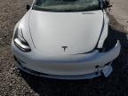 2019 Tesla Model 3  for Sale in Farr West, UT - All Over