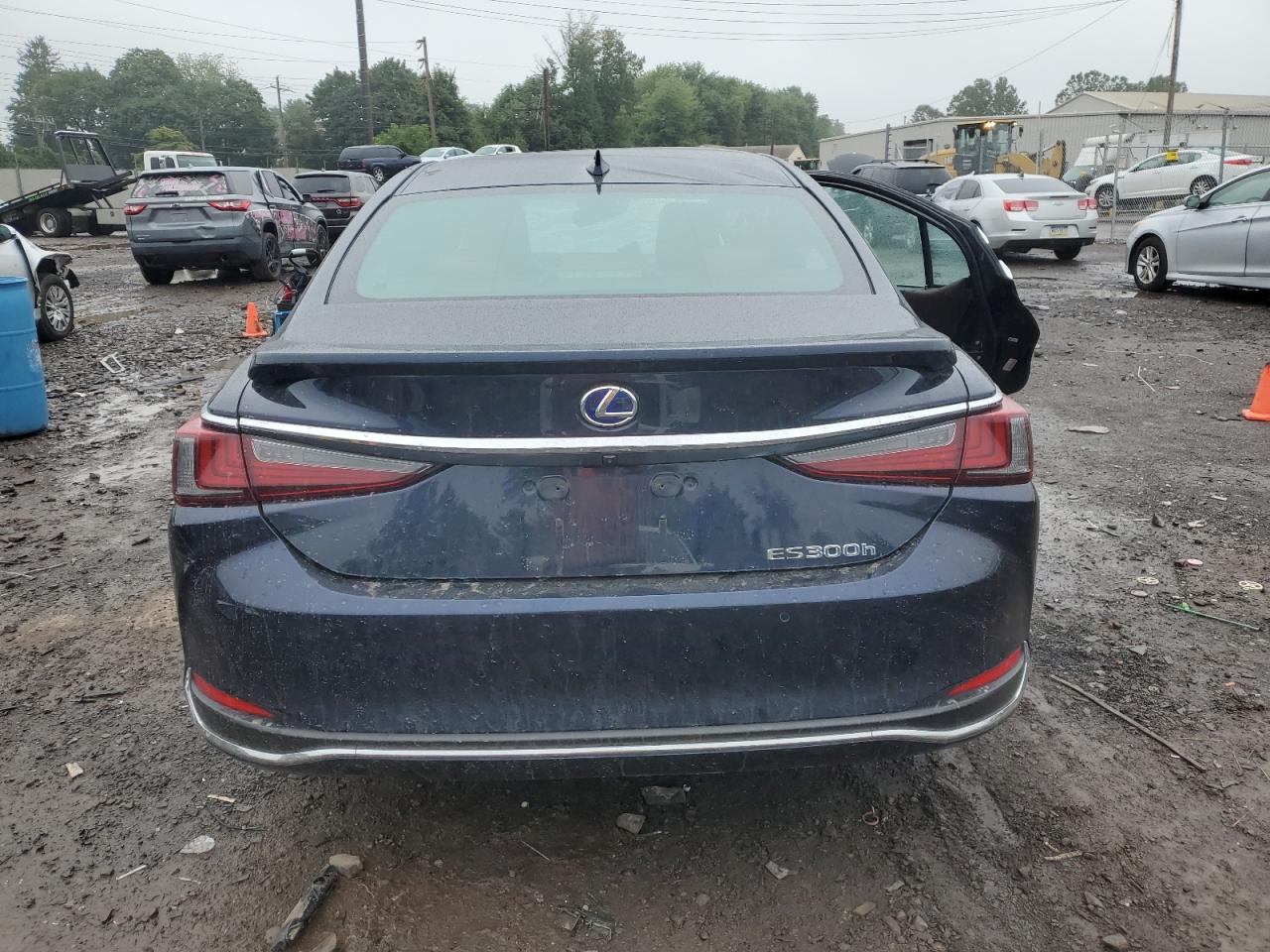 2020 Lexus Es 300H VIN: 58AD21B15LU009639 Lot: 66059954