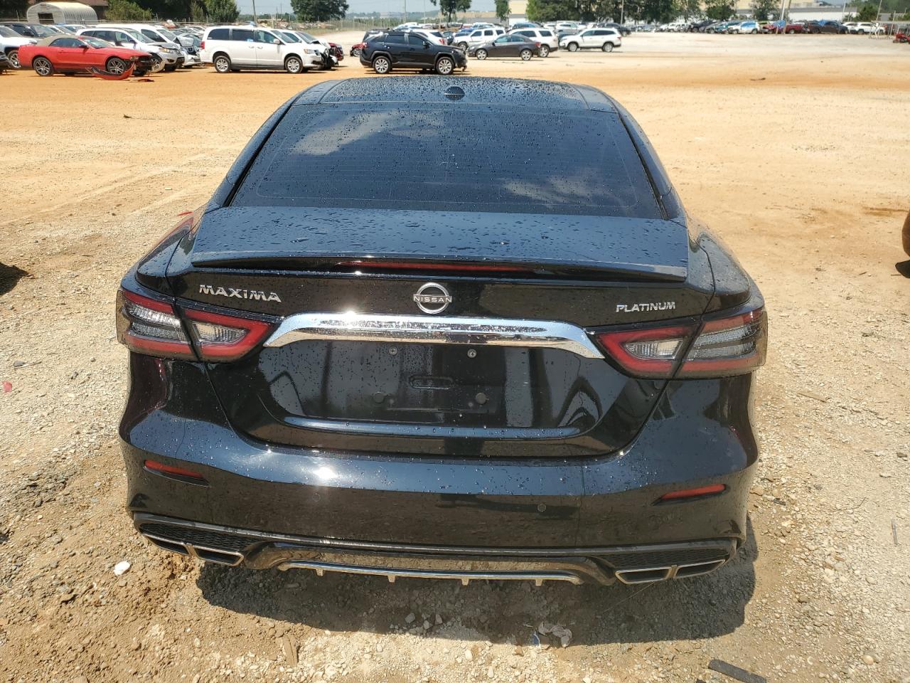 2023 Nissan Maxima Platinum VIN: 1N4AA6FV8PC504396 Lot: 66502924