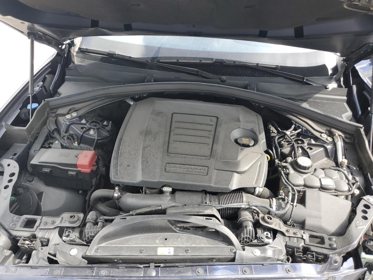 2019 Jaguar F-Pace Premium VIN: SADCJ2FX9KA366633 Lot: 65668014