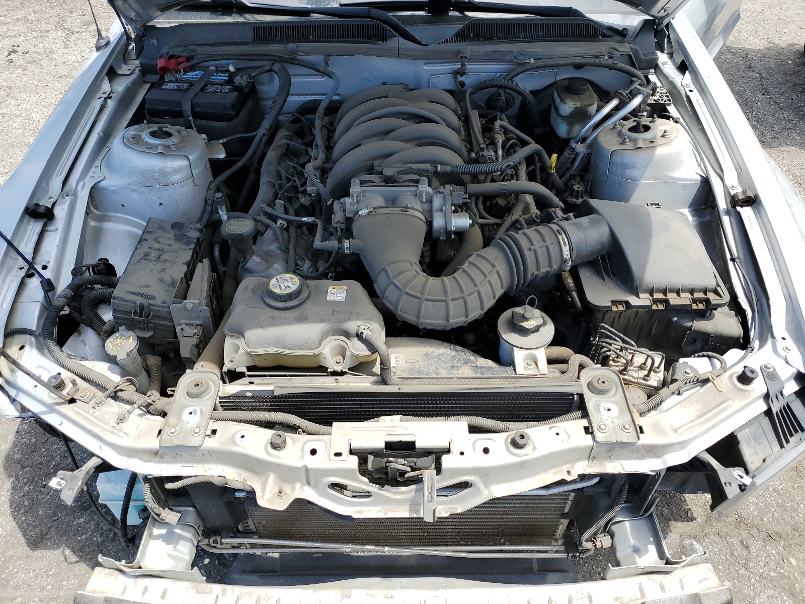 1ZVHT82H775316713 2007 Ford Mustang Gt