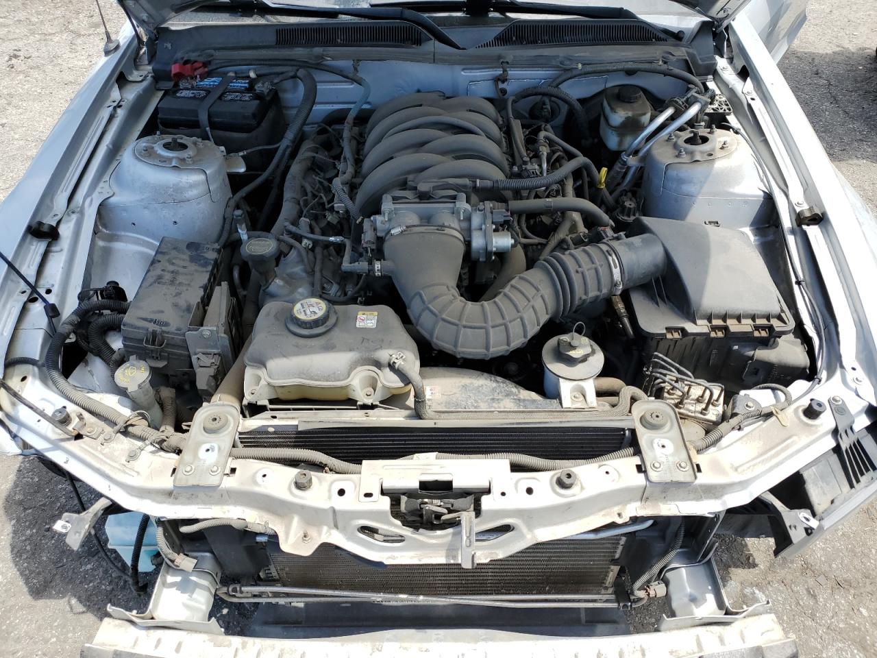 2007 Ford Mustang Gt VIN: 1ZVHT82H775316713 Lot: 65279544