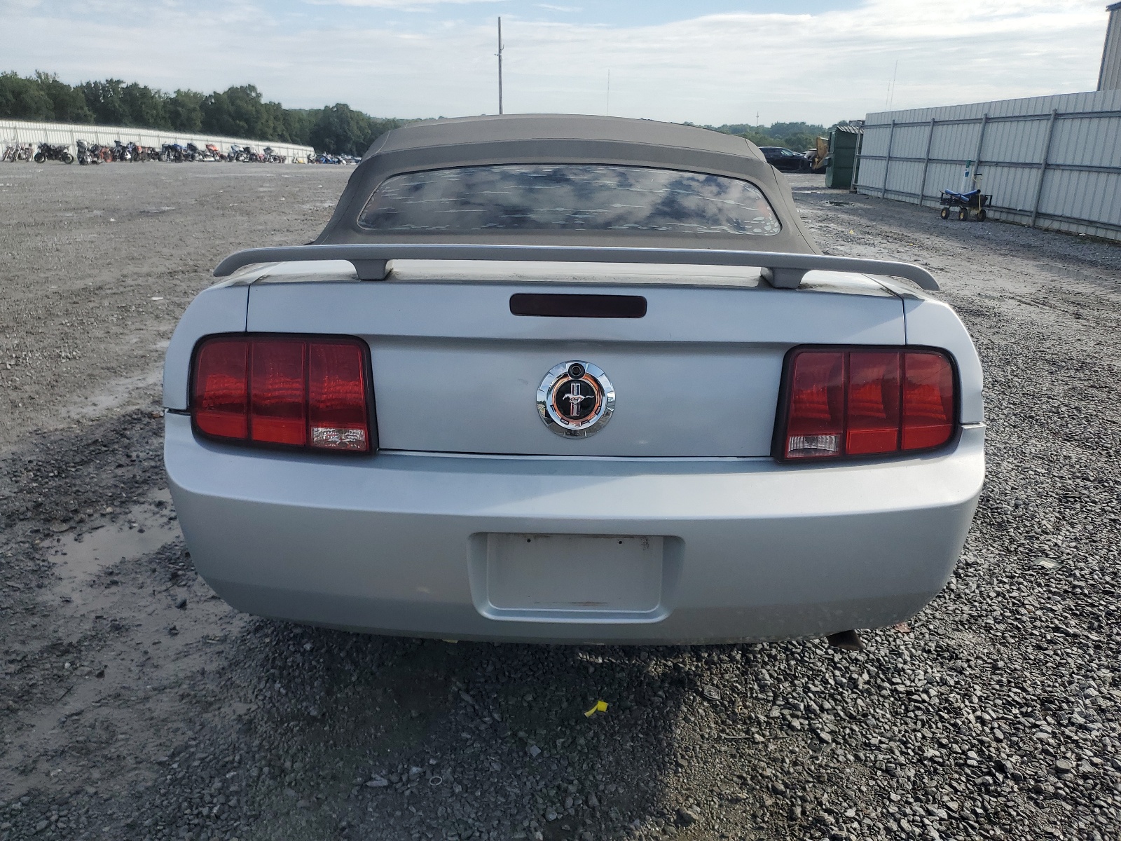 1ZVFT84N155216243 2005 Ford Mustang