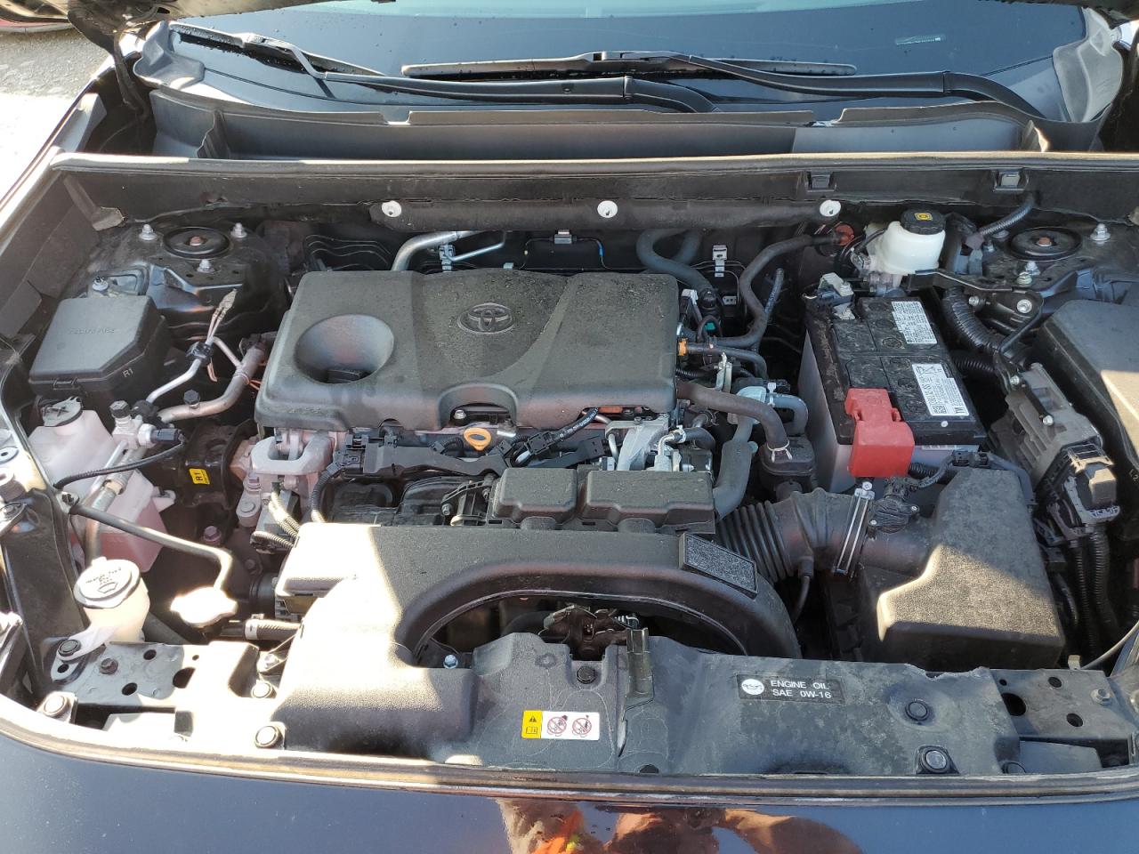 2021 Toyota Rav4 Xle VIN: 2T3W1RFV3MC101566 Lot: 65768654