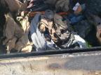 2020 Ram 5500  for Sale in Haslet, TX - Burn - Engine