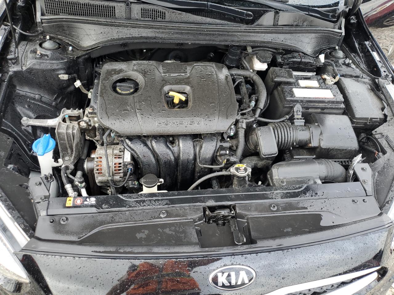 2021 Kia Forte Fe VIN: 3KPF24AD4ME268544 Lot: 67310904