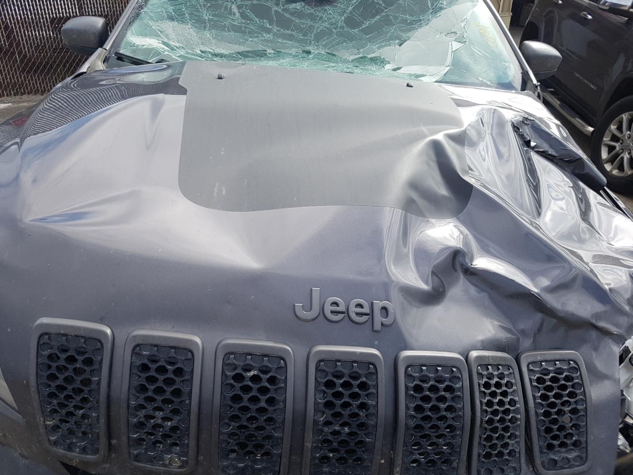 2019 Jeep Cherokee Trailhawk VIN: 1C4PJMBX0KD356750 Lot: 66766234