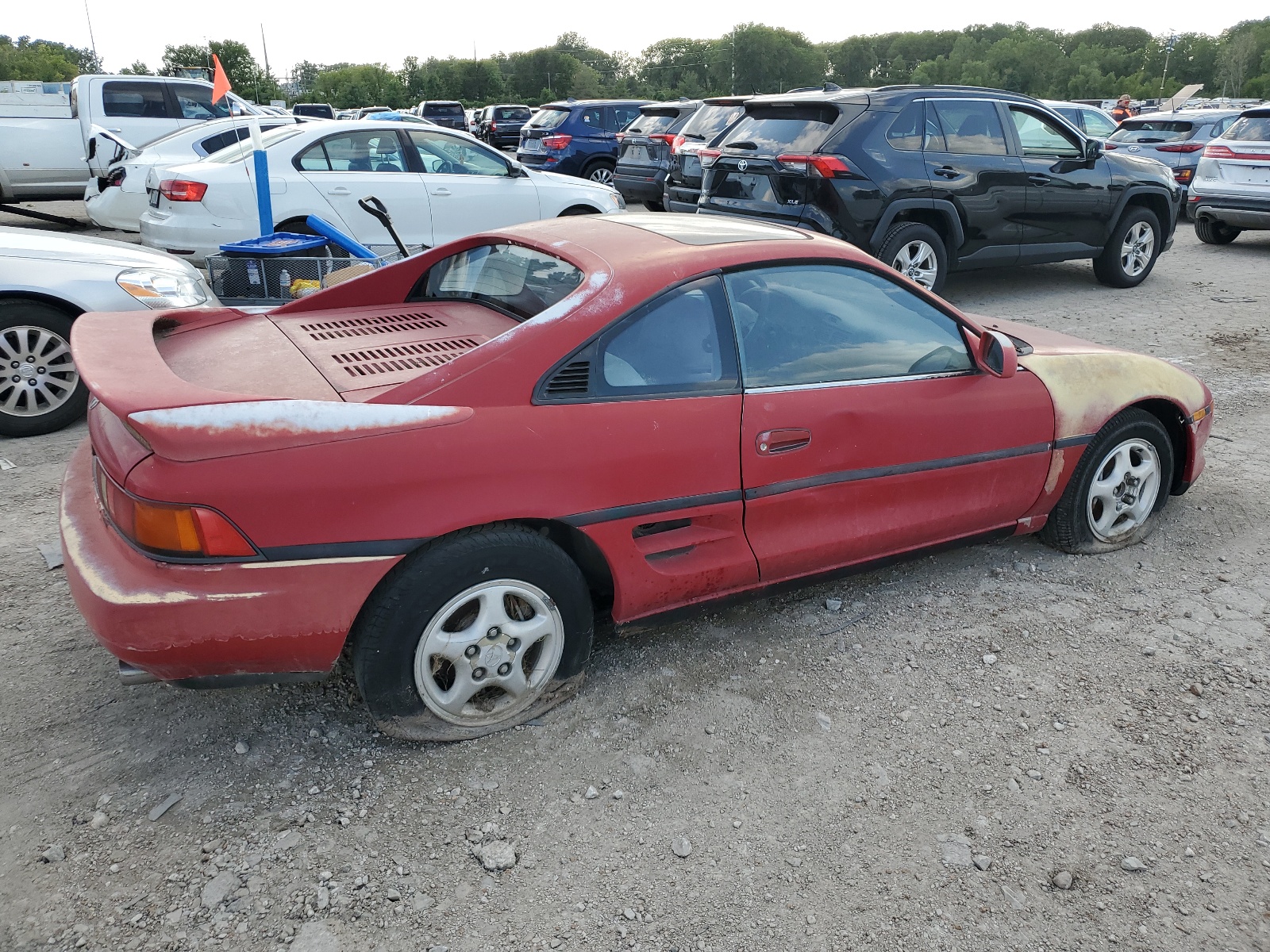 JT2SW21M5M0004094 1991 Toyota Mr2