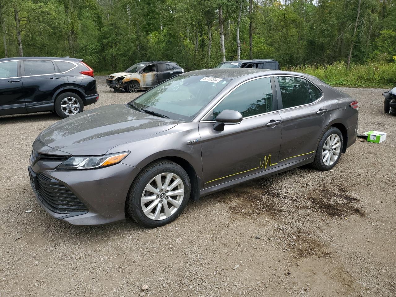 4T1B31HK9KU509670 2019 TOYOTA CAMRY - Image 1